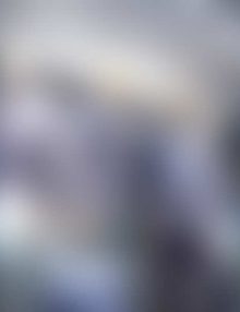 Neueste WordPress Nachrichten