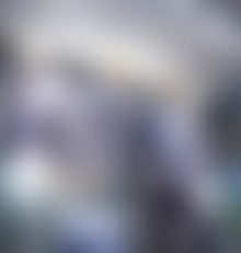 Neueste WordPress Nachrichten